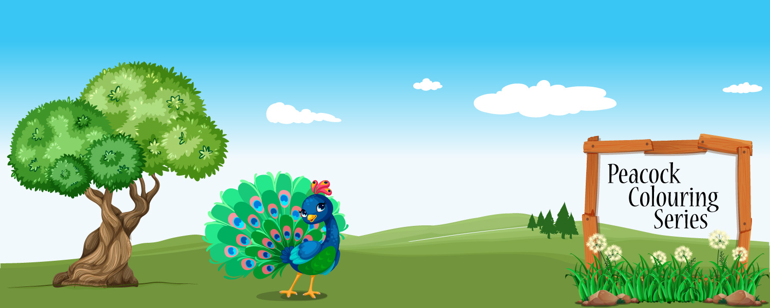 Peacock Colouring Book Publisher