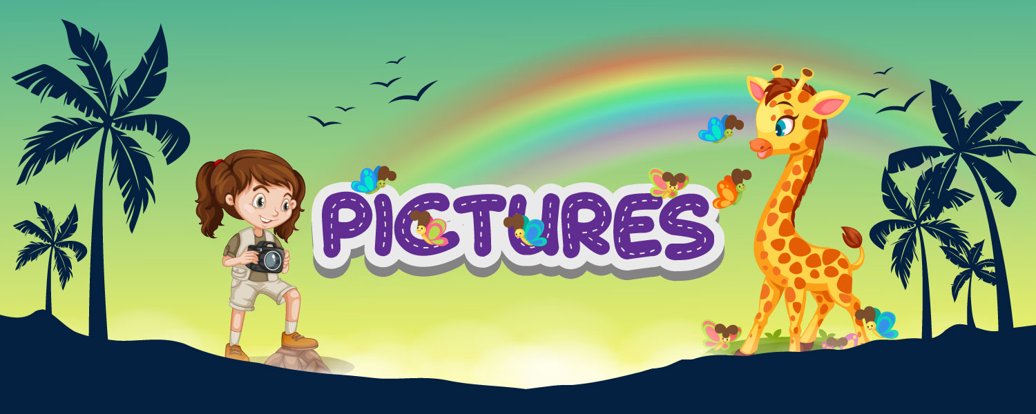 Picture Series books